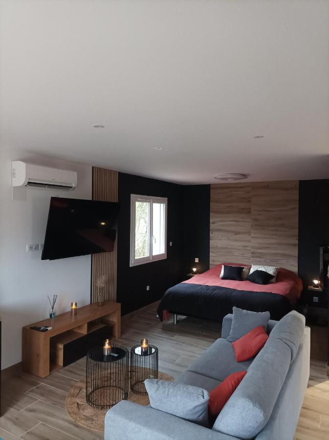 Loft Sauna Jacuzzi Ospariegeois Lavelanet Ngoại thất bức ảnh